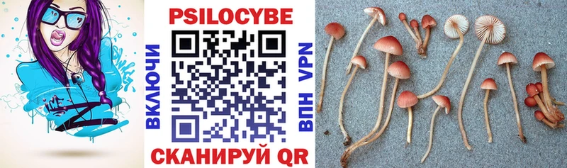 omg как зайти  Янаул  Галлюциногенные грибы мухоморы 
