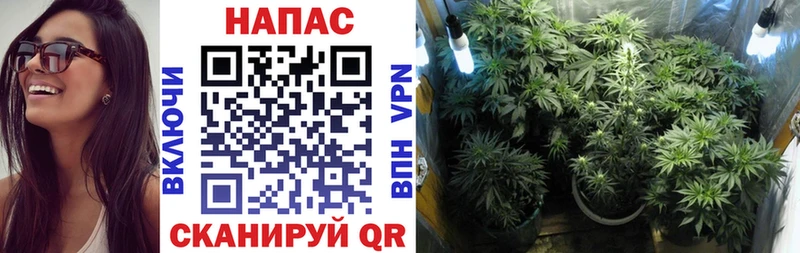 Канабис THC 21%  магазин продажи   дарк нет Telegram  Янаул 